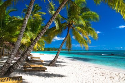 Fotobehang Palmbomen en ligstoelen op een tropisch strand