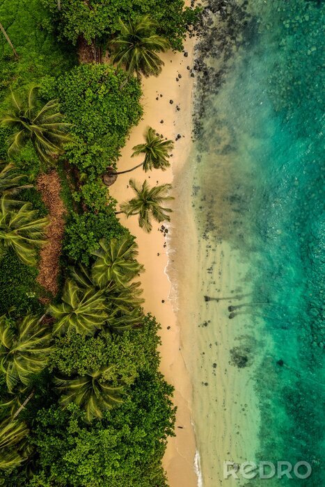 Fotobehang Palmbomen en oceaan vanuit vogelperspectief