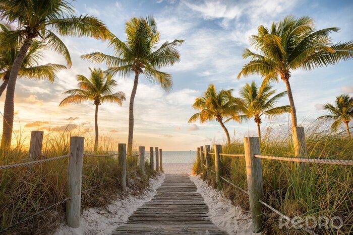 Fotobehang Palmbomen en pad naar een strand