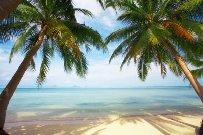Fotobehang Palmbomen en uitzicht op zee