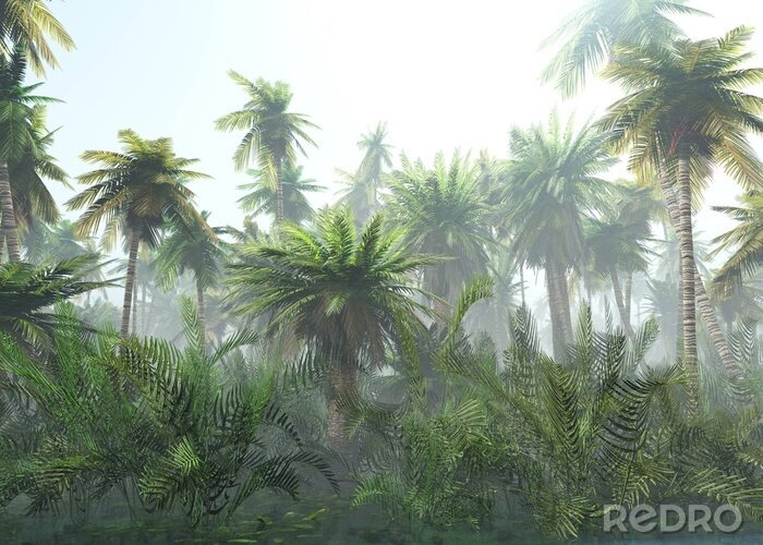 Fotobehang Palmbomen in de mist