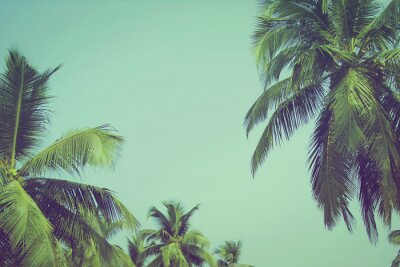 Fotobehang Palmbomen op een achtergrond van de hemel in retrostijl