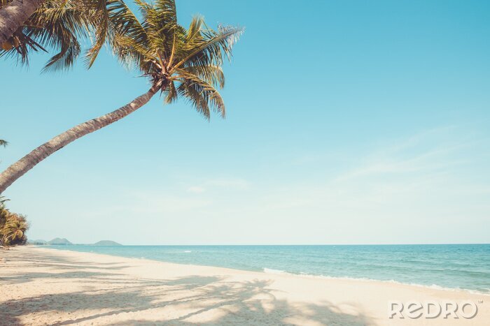 Fotobehang Palmbomen op een grenzeloze oceaan