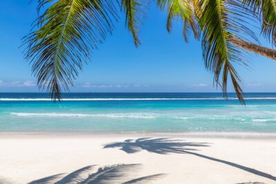 Palmbomen op een paradijselijk strand