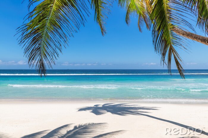 Fotobehang Palmbomen op een paradijselijk strand