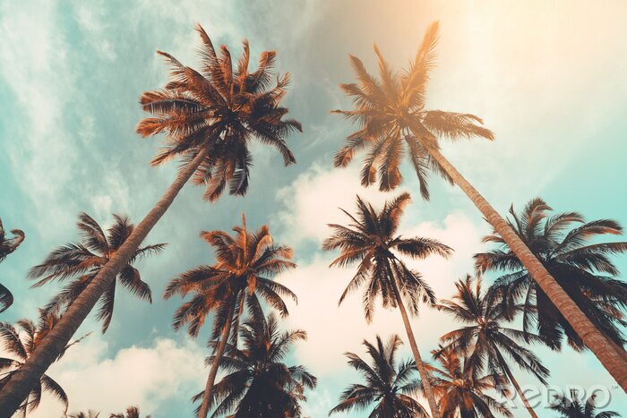 Fotobehang Palmbomen op een retro hemelachtergrond