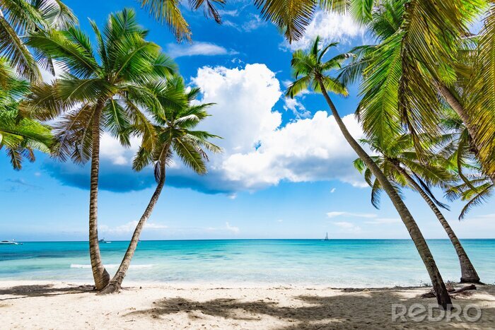 Fotobehang Palmbomen op een tropisch eiland
