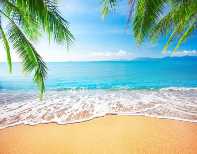 Fotobehang Palmbomen op een tropisch strand