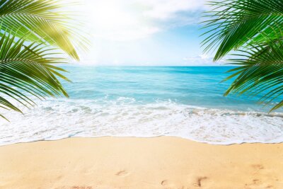Fotobehang Palmbomen strand en oceaan