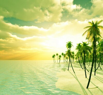 Fotobehang Palmbomen, strand en zee in de zon