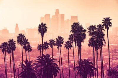 Fotobehang Palmbomen tegen de skyline van Los Angeles bij zonsondergang