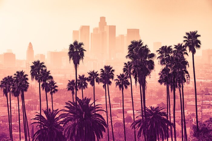 Fotobehang Palmbomen tegen de skyline van Los Angeles bij zonsondergang