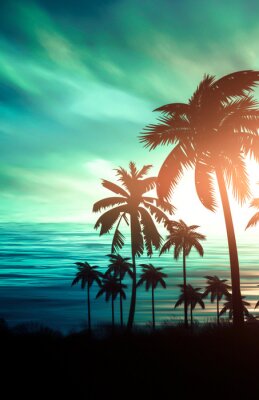 Palmbomen tijdens zonsondergang