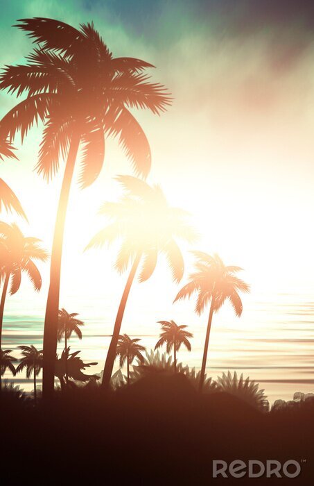 Fotobehang Palmbomen verlicht door de opkomende zon
