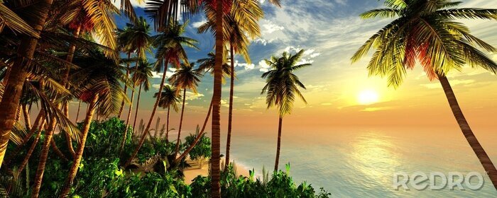 Fotobehang Palmbomen zonsondergang strand
