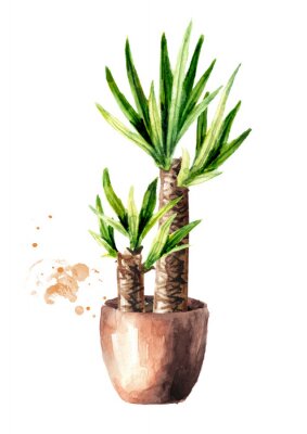 Palmboom in een pot aquarel illustratie