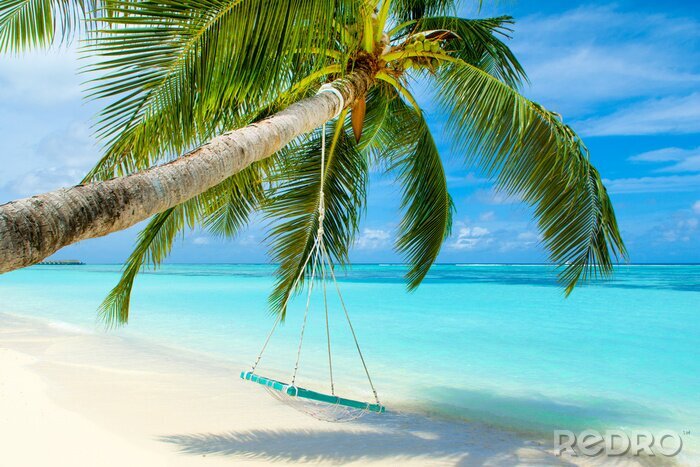 Fotobehang Palmboom met een schommel op een eiland