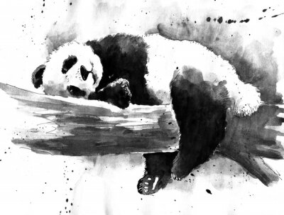 Fotobehang Panda op een tak zwart-wit patroon