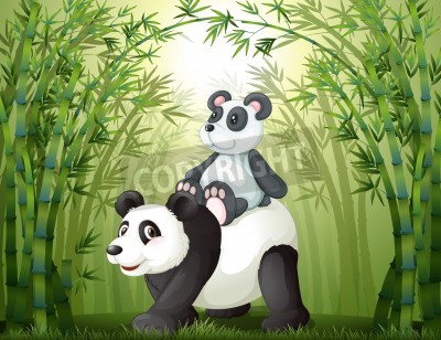 Fotobehang Panda's in het bamboebos