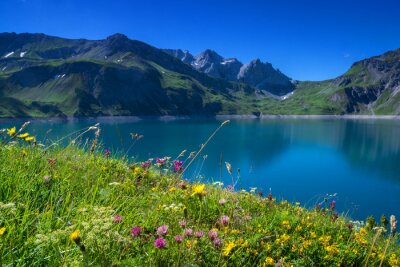 Fotobehang Panorama van bergen met bloemen op een weide