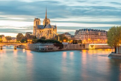 Fotobehang Panorama van de Seine en de Notre Dame