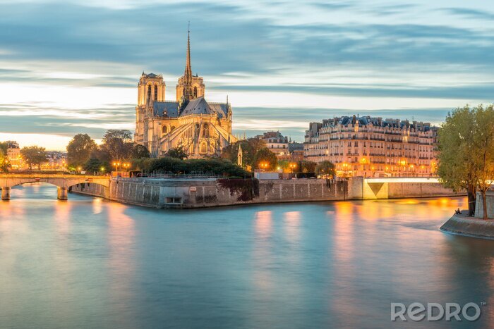 Fotobehang Panorama van de Seine en de Notre Dame
