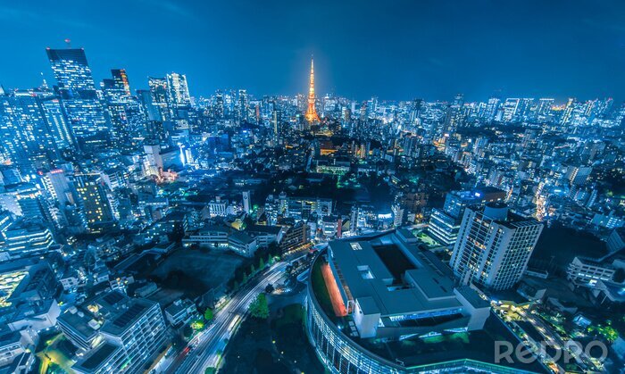 Fotobehang Panorama van de stad Tokio 's nachts