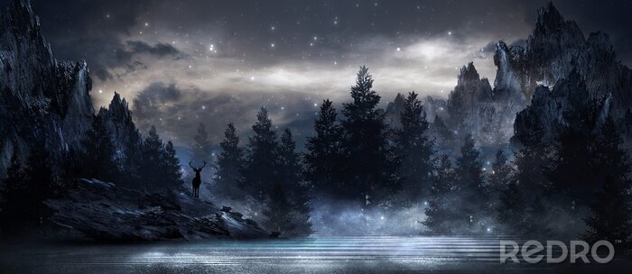 Fotobehang Panorama van een bos midden in de nacht