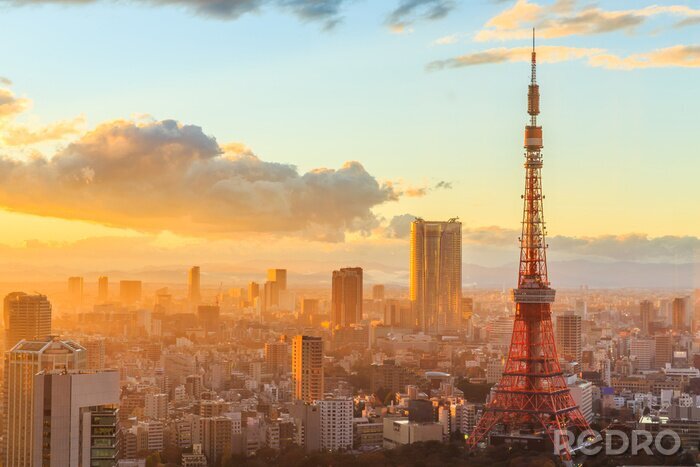Fotobehang Panorama van Japanse stad