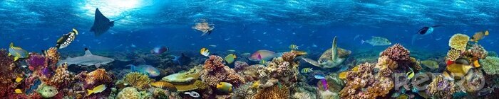 Fotobehang Panorama van koraalrif in de oceaan