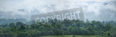 Fotobehang Panorama van regenwoud