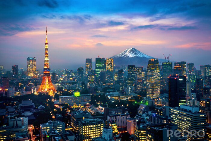 Fotobehang Panorama van Tokio met de berg Fuji