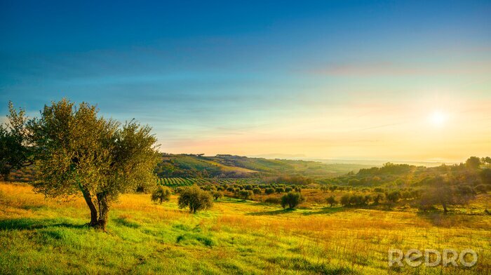 Fotobehang Panorama van Toscaanse velden