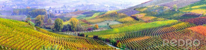 Fotobehang Panorama van velden in Toscane