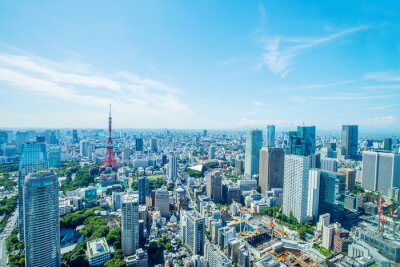 Panorama van zonnig Tokio
