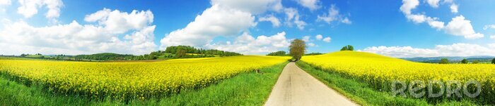 Fotobehang Panoramisch beeld verkrachting veld en de weg