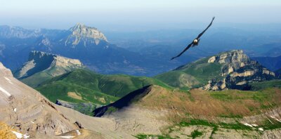 Fotobehang Panoramisch landschap met een vliegende vogel