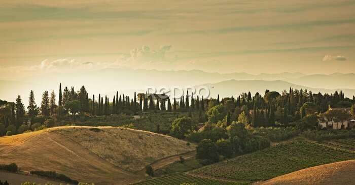 Fotobehang Panoramisch uitzicht op de heuvels van San Gimignano in Toscane