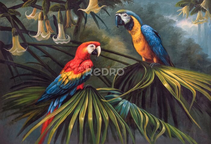 Fotobehang Papegaaien zitten op een tak in de jungle