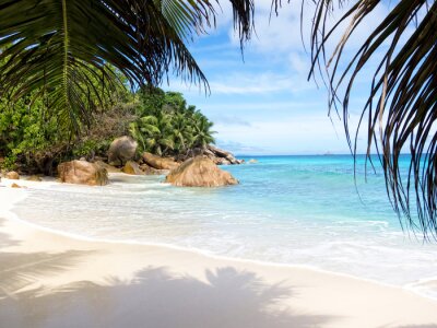 Fotobehang Paradijselijk strand aan zee