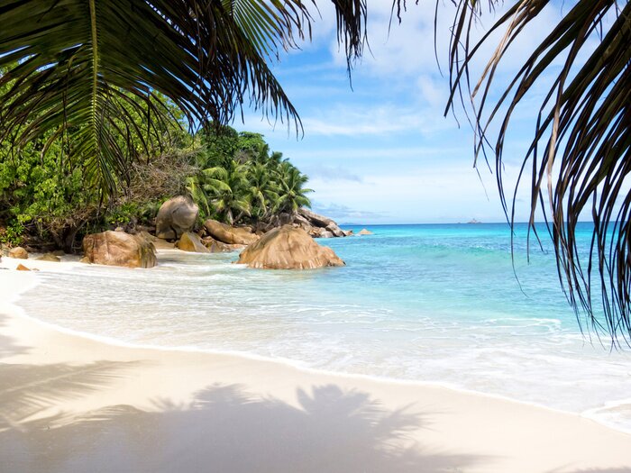 Fotobehang Paradijselijk strand aan zee