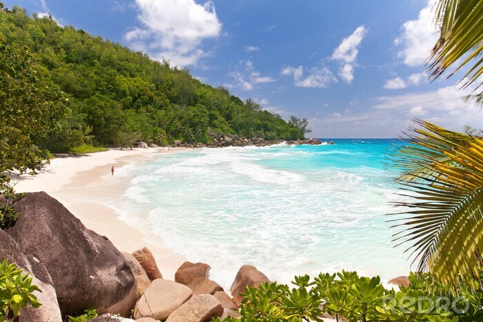 Fotobehang Paradijselijk strand op de Seychellen