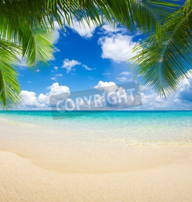Fotobehang Paradijselijk uitzicht op het strand