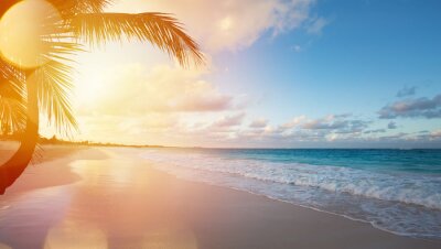 Fotobehang Paradijslijk uitzicht op een tropisch strand