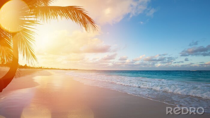 Fotobehang Paradijslijk uitzicht op een tropisch strand