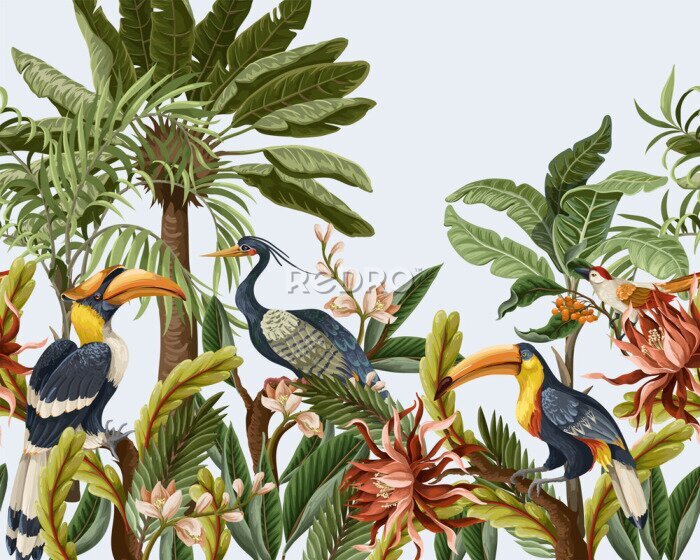 Fotobehang Paradijsvogels op kleurrijke bomen