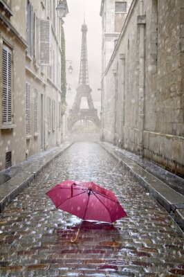 Paraplu in regenachtig Parijs