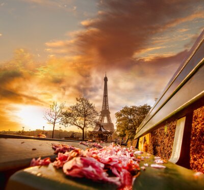 Fotobehang Parijs bankje voor de Eiffeltoren