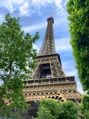 Fotobehang Parijs, Eiffeltoren en natuur