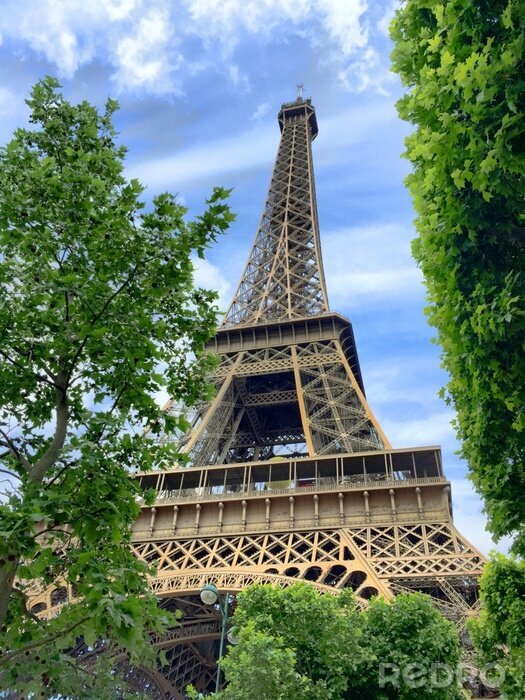 Fotobehang Parijs, Eiffeltoren en natuur